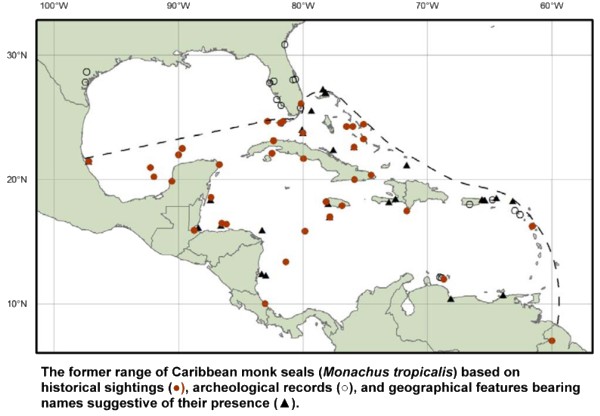 Mappa distribuzione foca dei Caraibi